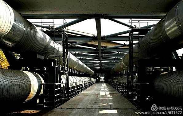 1517560908287839.jpg 1.jpg